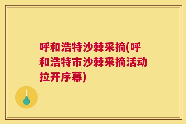 呼和浩特沙棘采摘(呼和浩特市沙棘采摘活动拉开序幕)