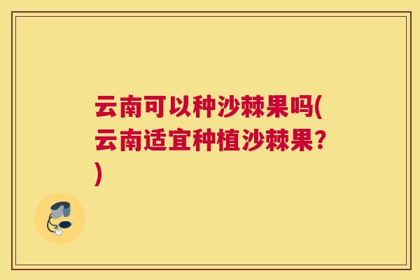 云南可以种沙棘果吗(云南适宜种植沙棘果?)