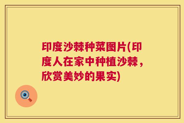 印度沙棘种菜图片(印度人在家中种植沙棘,欣赏美妙的果实)