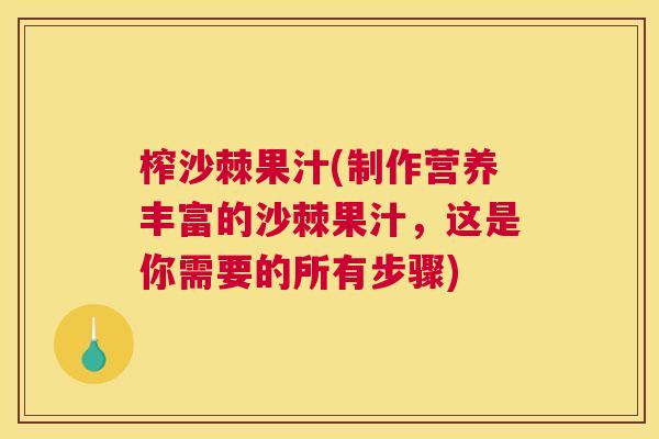 榨沙棘果汁(制作营养丰富的沙棘果汁,这是你需要的所有步骤)