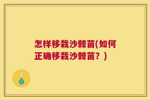 怎样移栽沙棘苗(如何正确移栽沙棘苗？)