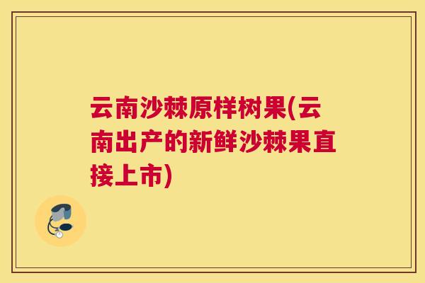 云南沙棘原样树果(云南出产的新鲜沙棘果直接上市)