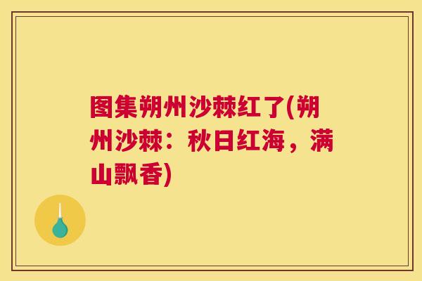 图集朔州沙棘红了(朔州沙棘:秋日红海,满山飘香) 图集朔州沙棘红了(朔州沙棘:秋日红海,满山飘香)