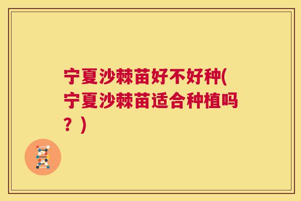 宁夏沙棘苗好不好种(宁夏沙棘苗适合种植吗？)