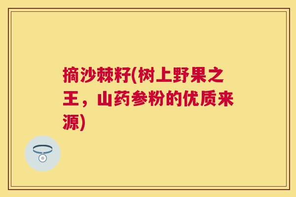 摘沙棘籽(树上野果之王，山药参粉的优质来源)