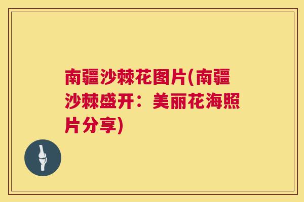 南疆沙棘花图片(南疆沙棘盛开:美丽花海照片分享)