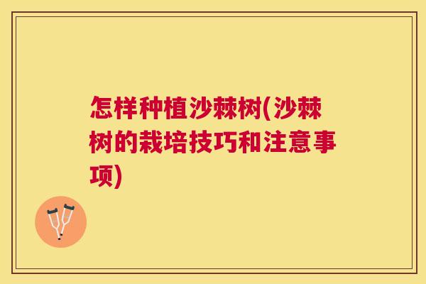 怎样种植沙棘树(沙棘树的栽培技巧和注意事项)