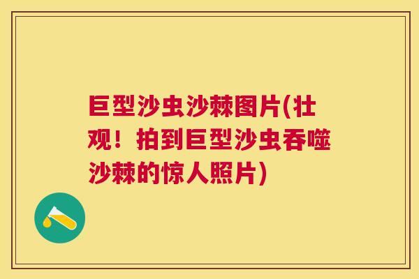 巨型沙虫沙棘图片(壮观！拍到巨型沙虫吞噬沙棘的惊人照片)