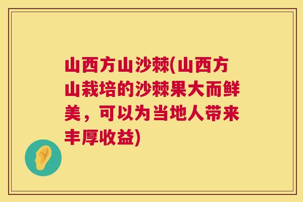 山西方山沙棘(山西方山栽培的沙棘果大而鲜美，可以为当地人带来丰厚收益)