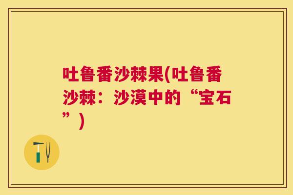 吐鲁番沙棘果(吐鲁番沙棘:沙漠中的“宝石”) 吐鲁番沙棘果(吐鲁番沙棘:沙漠中的“宝石”)
