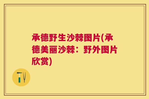 承德野生沙棘图片(承德美丽沙棘：野外图片欣赏)