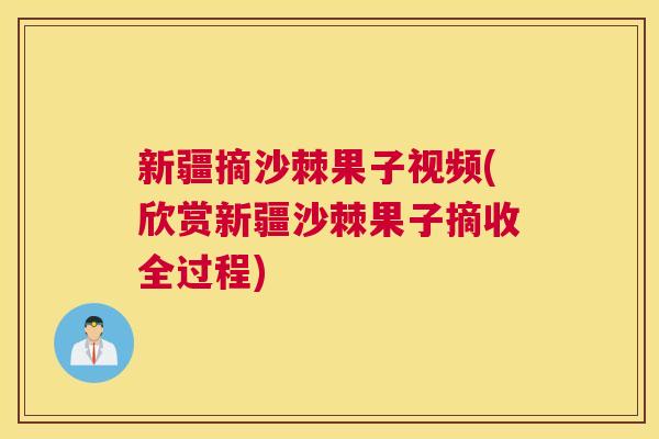 新疆摘沙棘果子视频(欣赏新疆沙棘果子摘收全过程)