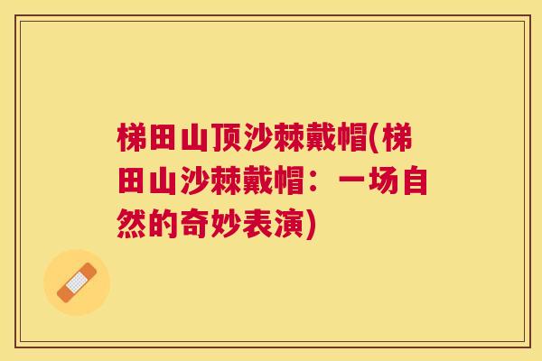 梯田山顶沙棘戴帽(梯田山沙棘戴帽:一场自然的奇妙表演) 梯田山顶沙棘戴帽(梯田山沙棘戴帽:一场自然的奇妙表演)