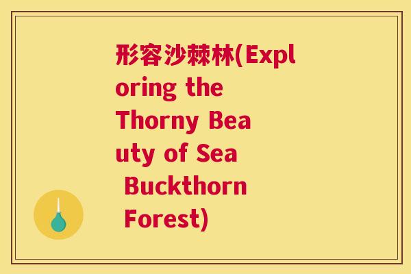 形容沙棘林(Exploring the Thorny Beauty of Sea Buckthorn Forest)