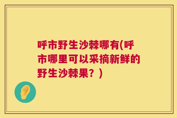 呼市野生沙棘哪有(呼市哪里可以采摘新鲜的野生沙棘果?)