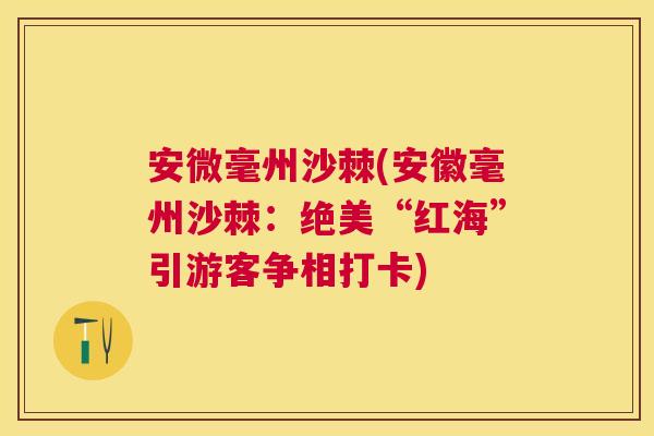 安微毫州沙棘(安徽毫州沙棘：绝美“红海”引游客争相打卡)