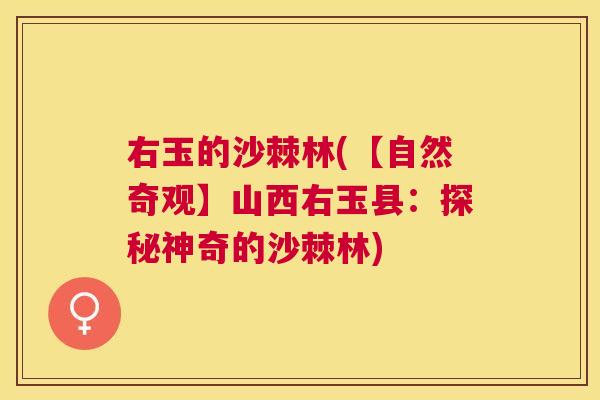 右玉的沙棘林(【自然奇观】山西右玉县：探秘神奇的沙棘林)