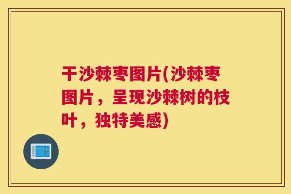 干沙棘枣图片(沙棘枣图片，呈现沙棘树的枝叶，独特美感)