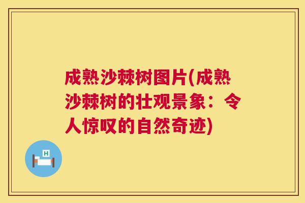 成熟沙棘树图片(成熟沙棘树的壮观景象：令人惊叹的自然奇迹)