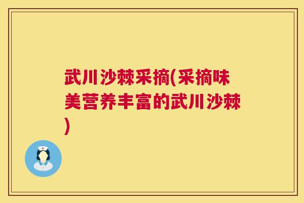 武川沙棘采摘(采摘味美营养丰富的武川沙棘)
