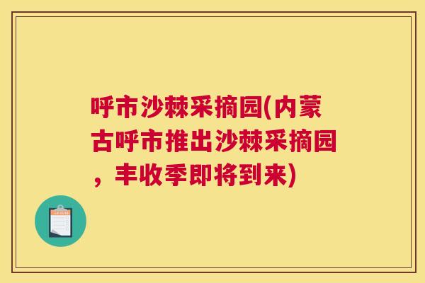 呼市沙棘采摘园(内蒙古呼市推出沙棘采摘园，丰收季即将到来)