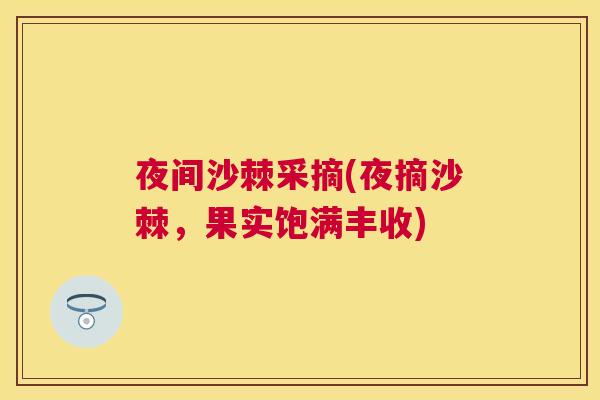夜间沙棘采摘(夜摘沙棘，果实饱满丰收)
