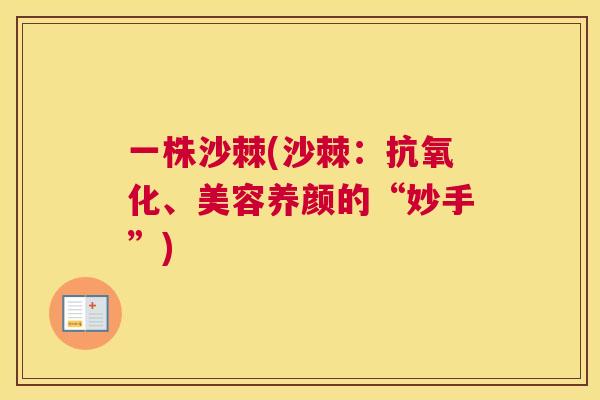 一株沙棘(沙棘:抗氧化、美容养颜的“妙手”)