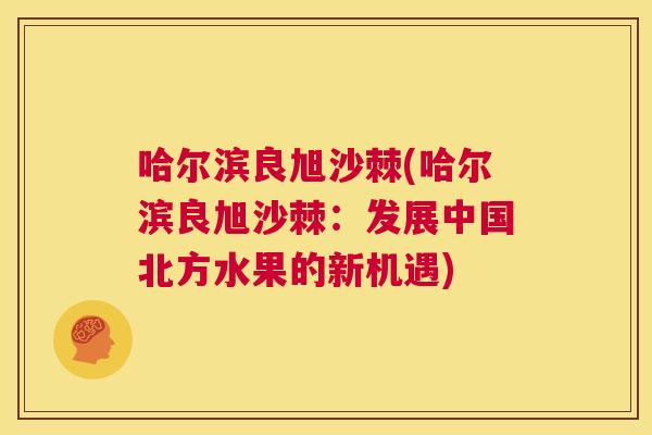 哈尔滨良旭沙棘(哈尔滨良旭沙棘：发展中国北方水果的新机遇)