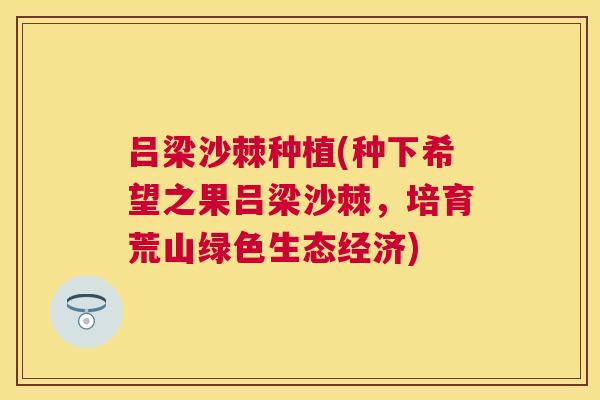 吕梁沙棘种植(种下希望之果吕梁沙棘，培育荒山绿色生态经济)