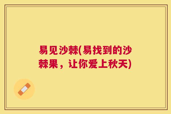 易见沙棘(易找到的沙棘果,让你爱上秋天) 易见沙棘(易找到的沙棘果,让你爱上秋天)
