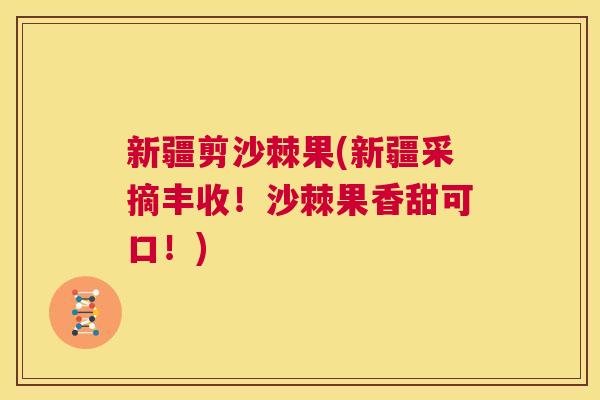 新疆剪沙棘果(新疆采摘丰收！沙棘果香甜可口！)