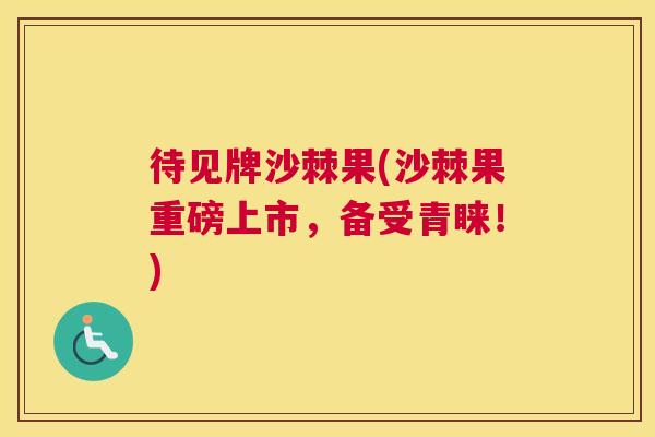 待见牌沙棘果(沙棘果重磅上市,备受青睐!) 待见牌沙棘果(沙棘果重磅上市,备受青睐!)