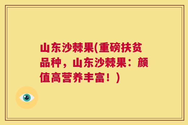 山东沙棘果(重磅扶贫品种,山东沙棘果:颜值高营养丰富!)