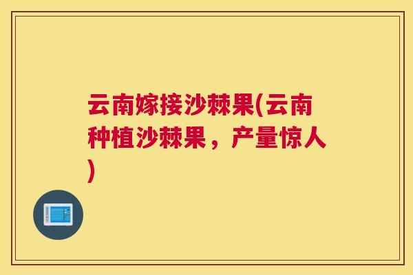 云南嫁接沙棘果(云南种植沙棘果，产量惊人)