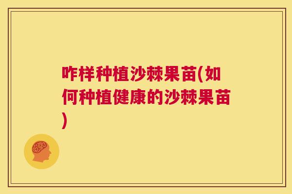 咋样种植沙棘果苗(如何种植健康的沙棘果苗)