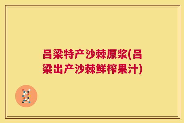 吕梁特产沙棘原浆(吕梁出产沙棘鲜榨果汁)