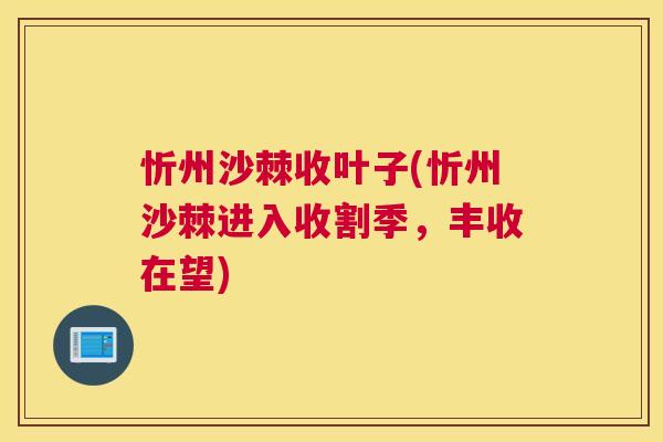 忻州沙棘收叶子(忻州沙棘进入收割季，丰收在望)