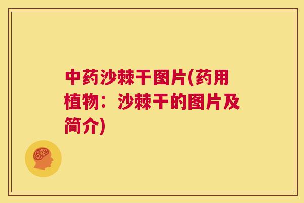 中药沙棘干图片(药用植物：沙棘干的图片及简介)