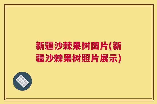 新疆沙棘果树图片(新疆沙棘果树照片展示) 新疆沙棘果树图片(新疆沙棘果树照片展示)