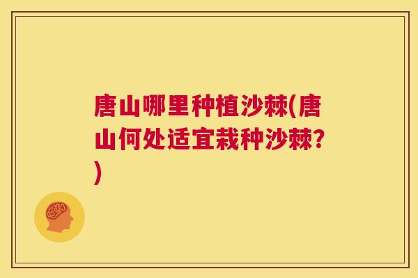 唐山哪里种植沙棘(唐山何处适宜栽种沙棘？)