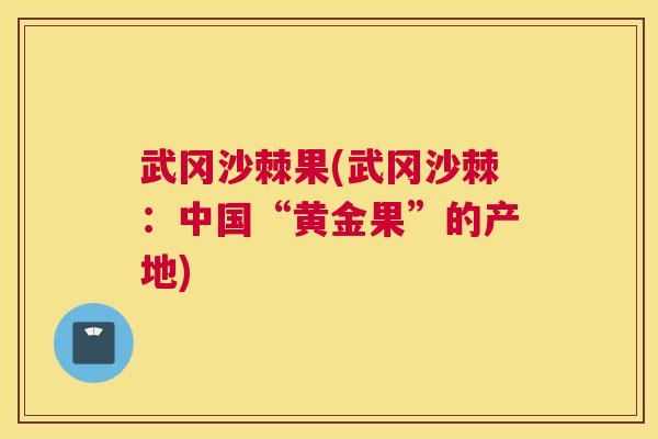 武冈沙棘果(武冈沙棘:中国“黄金果”的产地)