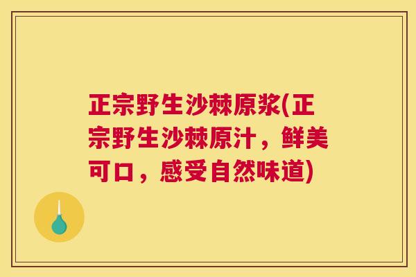 正宗野生沙棘原浆(正宗野生沙棘原汁,鲜美可口,感受自然味道)