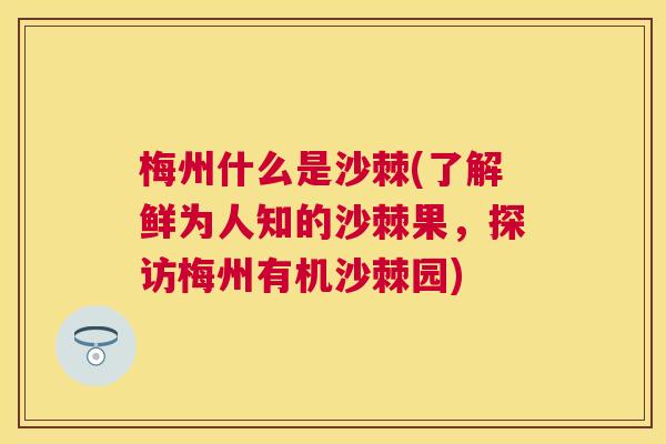 梅州什么是沙棘(了解鲜为人知的沙棘果,探访梅州有机沙棘园)