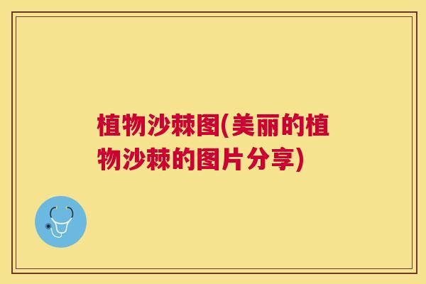植物沙棘图(美丽的植物沙棘的图片分享)