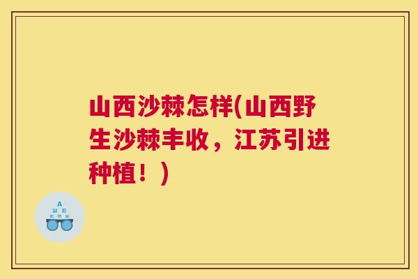 山西沙棘怎样(山西野生沙棘丰收，江苏引进种植！)