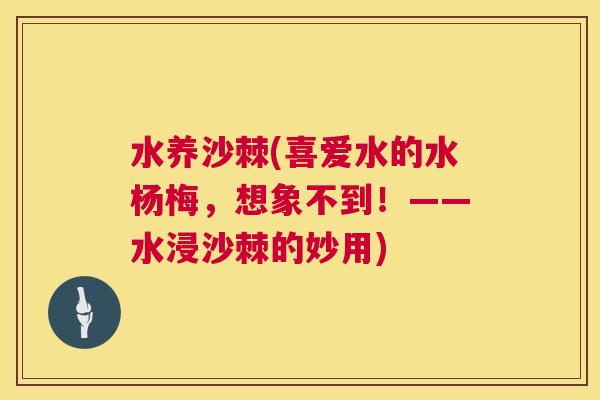 水养沙棘(喜爱水的水杨梅，想象不到！——水浸沙棘的妙用)