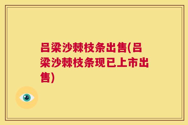 吕梁沙棘枝条出售(吕梁沙棘枝条现已上市出售)