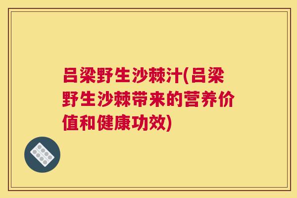 吕梁野生沙棘汁(吕梁野生沙棘带来的营养价值和健康功效)