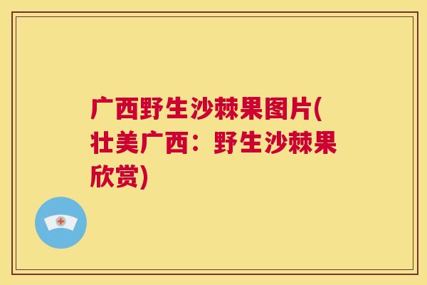 广西野生沙棘果图片(壮美广西：野生沙棘果欣赏)