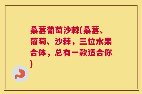 桑葚葡萄沙棘(桑葚、葡萄、沙棘，三位水果合体，总有一款适合你)